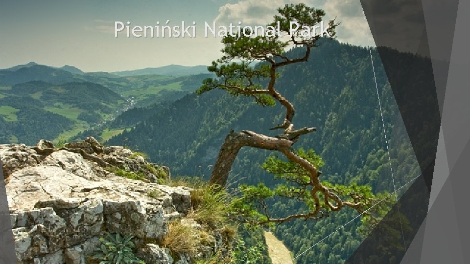 Pieniński National Park 