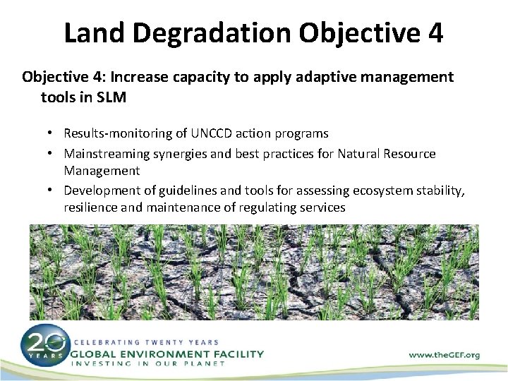 Focal Area and Cross Cutting Strategies Land Degradation