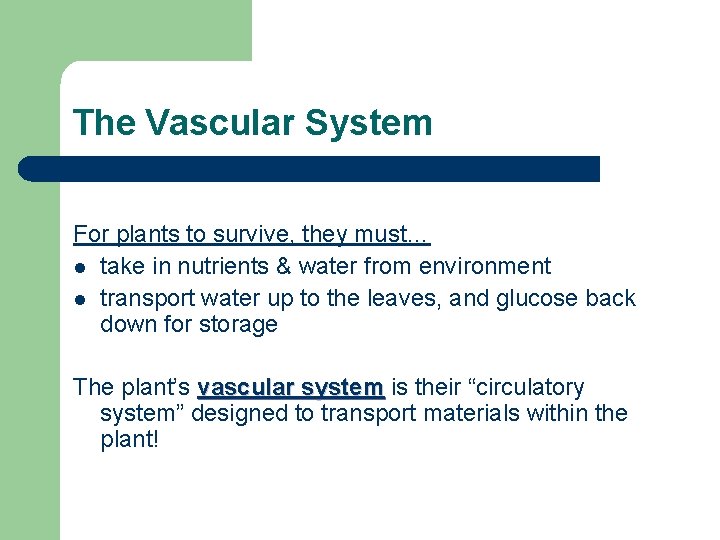 The Vascular System For plants to survive, they must… l take in nutrients &