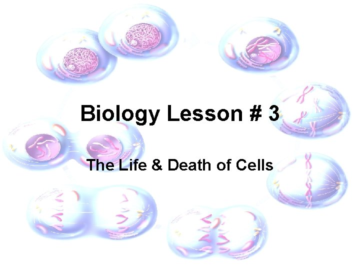 Biology Lesson # 3 The Life & Death of Cells 