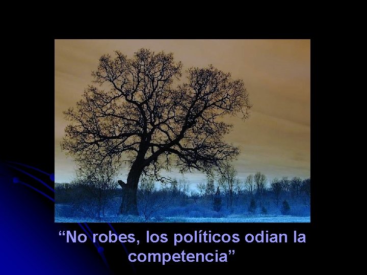 “No robes, los políticos odian la competencia” 