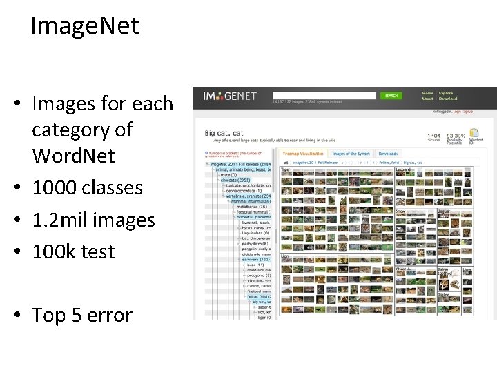 Image. Net • Images for each category of Word. Net • 1000 classes •