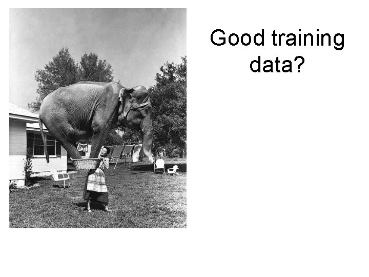 Good training data? 