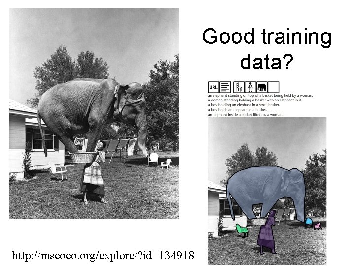 Good training data? http: //mscoco. org/explore/? id=134918 