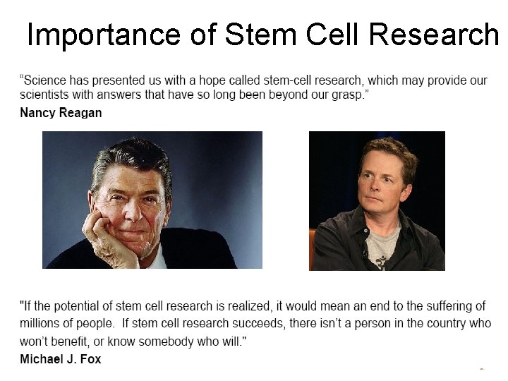 Importance of Stem Cell Research 