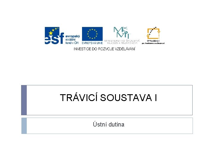 TRÁVICÍ SOUSTAVA I Ústní dutina 