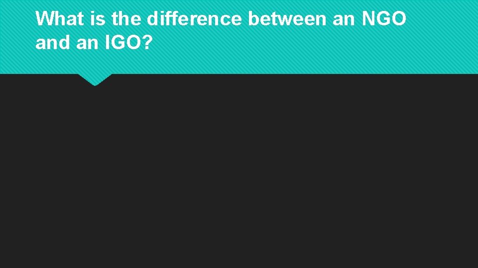 What is the difference between an NGO and an IGO? 