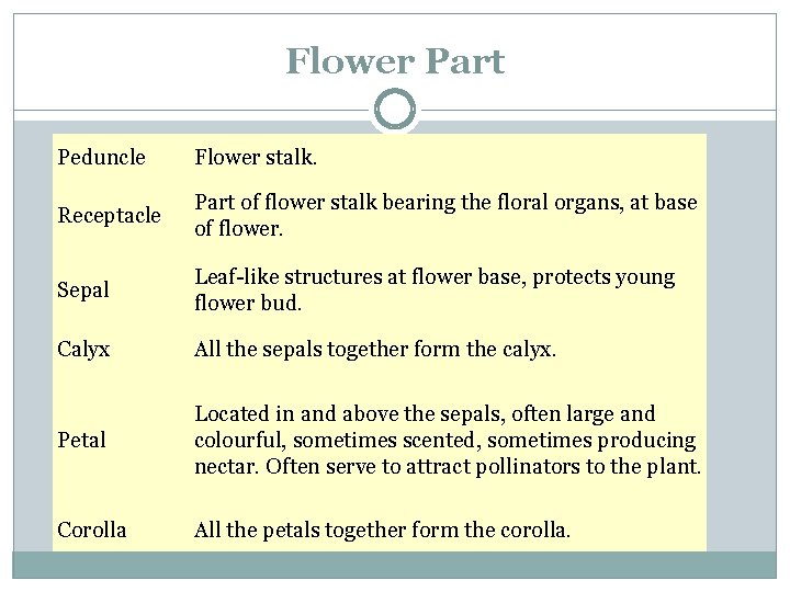 Flower Part Peduncle Flower stalk. Receptacle Part of flower stalk bearing the floral organs,