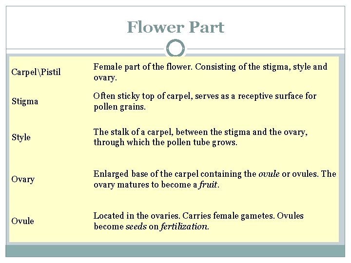 Flower Part CarpelPistil Female part of the flower. Consisting of the stigma, style and