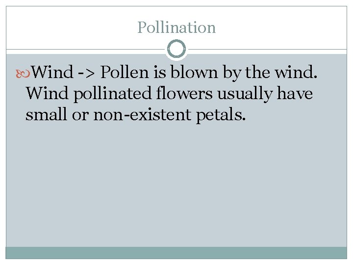 Pollination Wind -> Pollen is blown by the wind. Wind pollinated flowers usually have