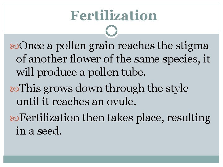 Fertilization Once a pollen grain reaches the stigma of another flower of the same