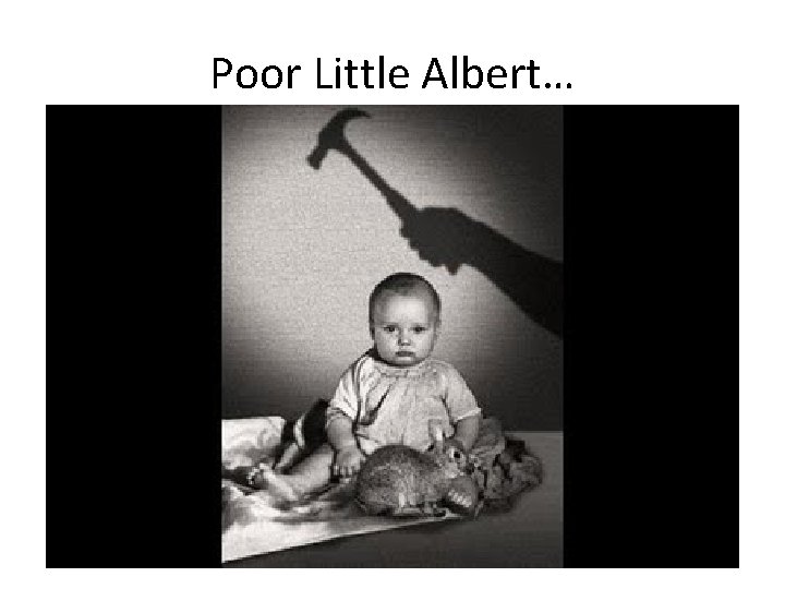 Poor Little Albert… 