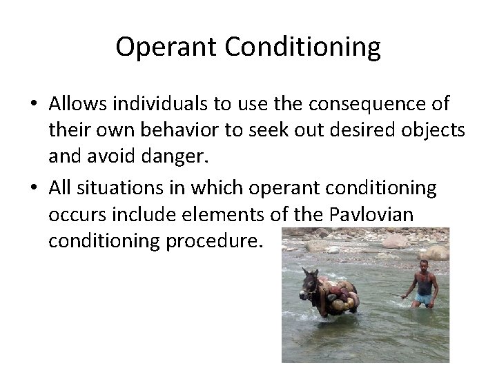 Operant Conditioning • Allows individuals to use the consequence of their own behavior to