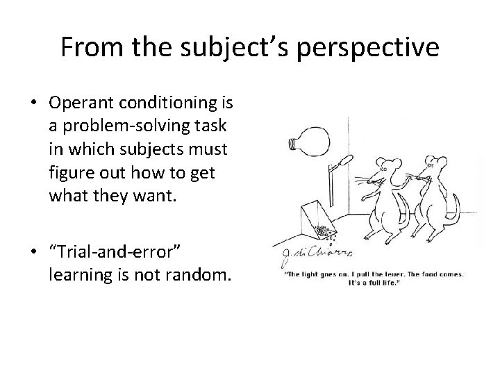 From the subject’s perspective • Operant conditioning is a problem-solving task in which subjects
