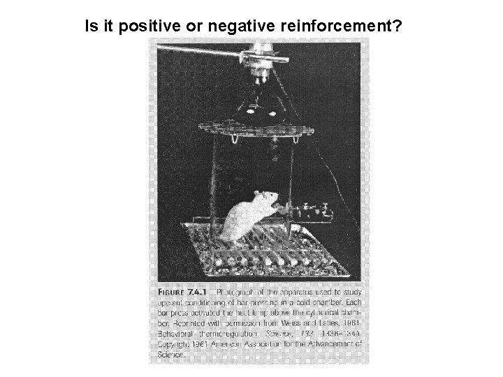 Is it positive or negative reinforcement? 