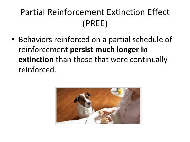 Partial Reinforcement Extinction Effect (PREE) • Behaviors reinforced on a partial schedule of reinforcement