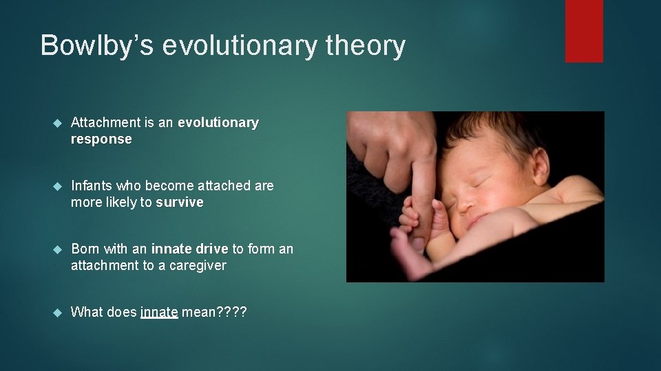 Bowlby’s evolutionary theory Attachment is an evolutionary response Infants who become attached are more
