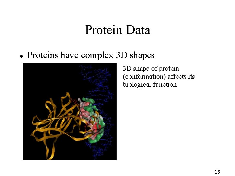 Protein Data Proteins have complex 3 D shapes 3 D shape of protein (conformation)