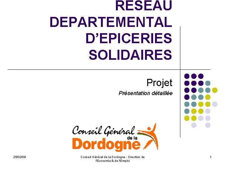 RESEAU DEPARTEMENTAL D’EPICERIES SOLIDAIRES Projet Présentation détaillée 25/02/09 Conseil Général de la Dordogne -