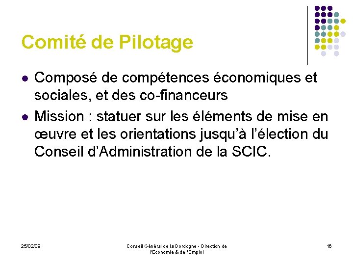 Comité de Pilotage l l Composé de compétences économiques et sociales, et des co-financeurs