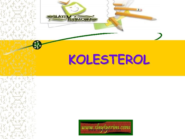 KOLESTEROL www. slaytyerim. com 