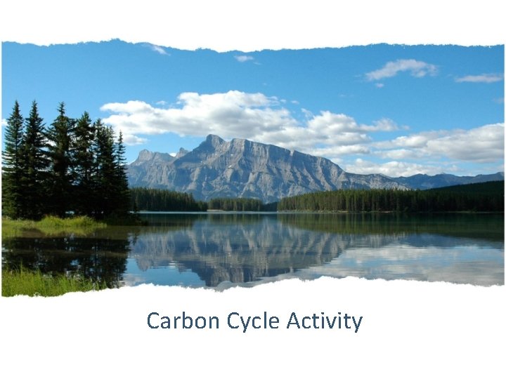 Carbon Cycle Activity 