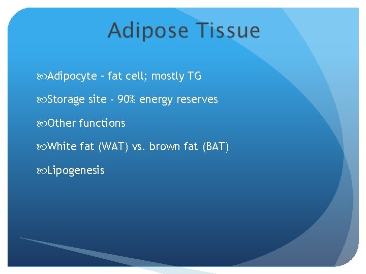  Adipocyte – fat cell; mostly TG Storage site - 90% energy reserves Other