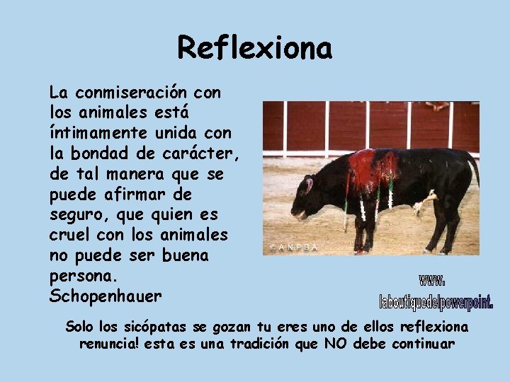 Reflexiona La conmiseración con los animales está íntimamente unida con la bondad de carácter,