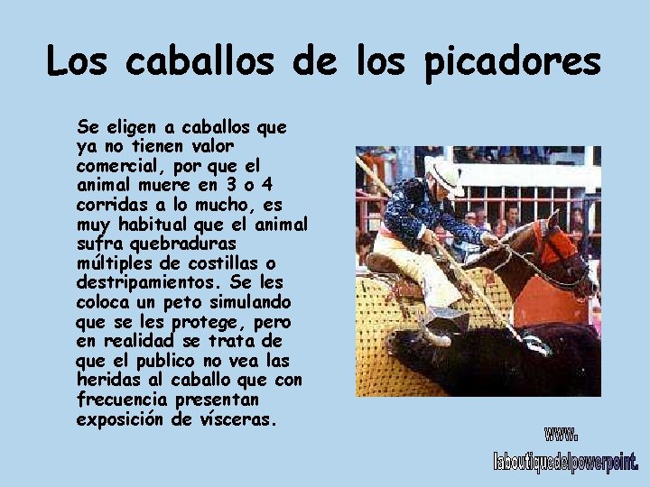 Los caballos de los picadores Se eligen a caballos que ya no tienen valor