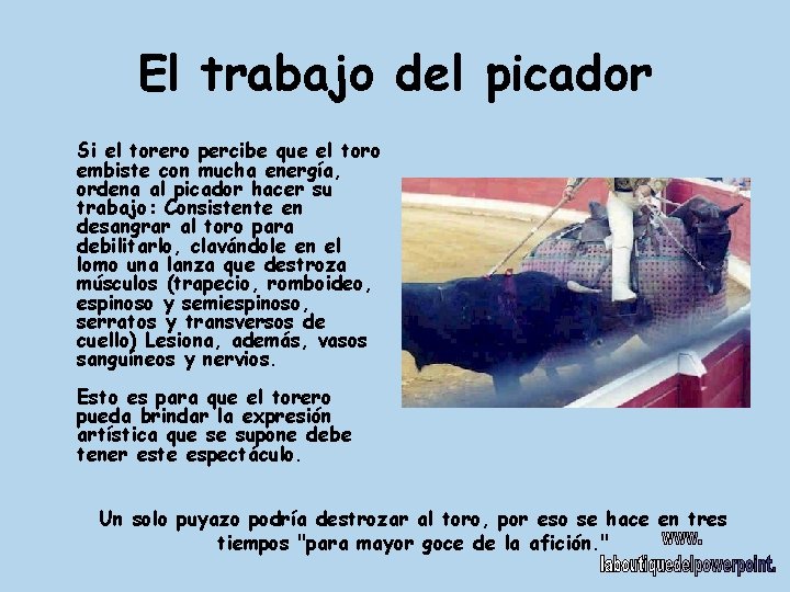 El trabajo del picador Si el torero percibe que el toro embiste con mucha El trabajo del picador Si el torero percibe que el toro embiste con mucha