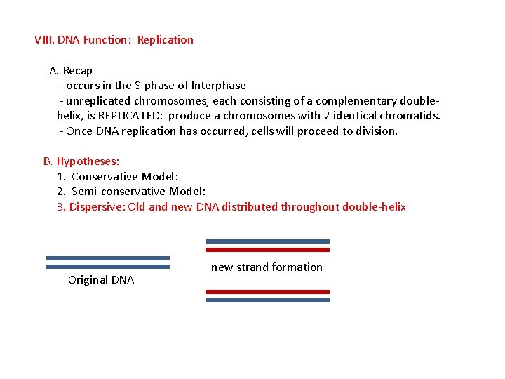 VIII. DNA Function: Replication A. Recap - occurs in the S-phase of Interphase -