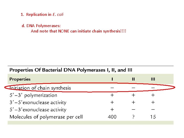 1. Replication in E. coli d. DNA Polymerases: And note that NONE can initiate