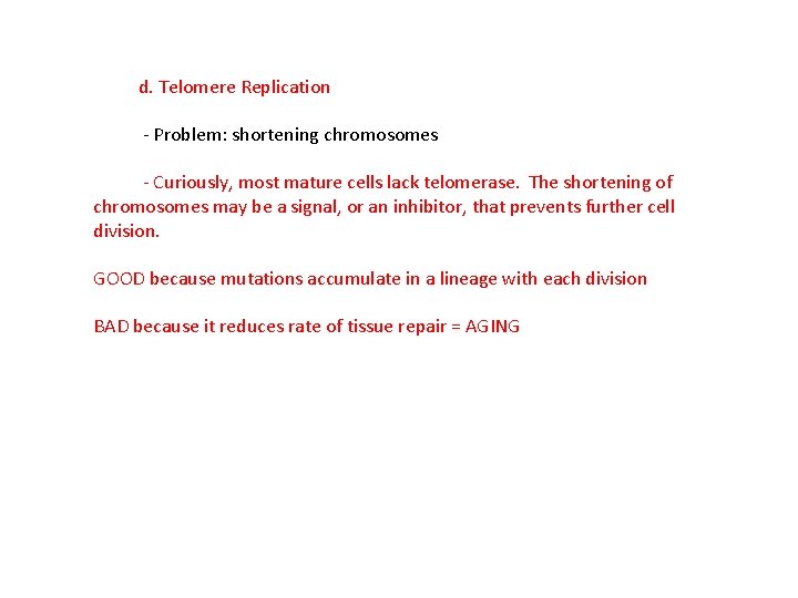 d. Telomere Replication - Problem: shortening chromosomes - Curiously, most mature cells lack telomerase.