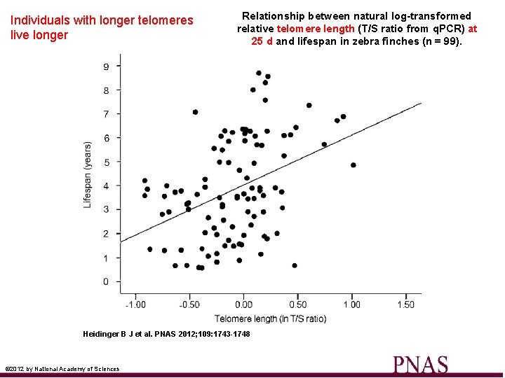Individuals with longer telomeres live longer Relationship between natural log-transformed relative telomere length (T/S