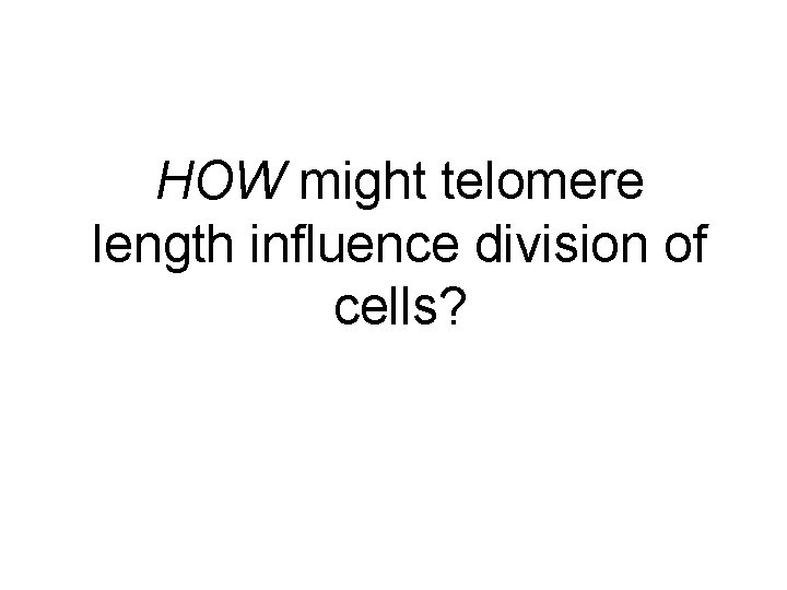HOW might telomere length influence division of cells? 