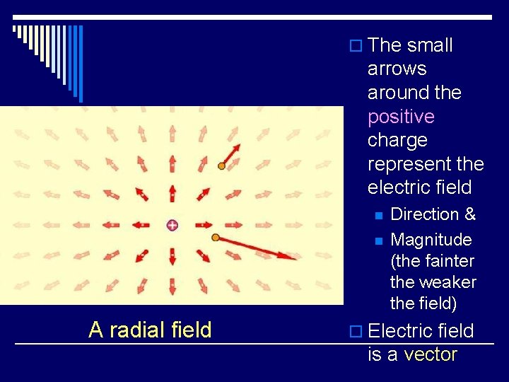 o The small arrows around the positive charge represent the electric field n n