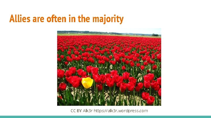 Allies are often in the majority CC BY Alk 3 r https: //alk 3