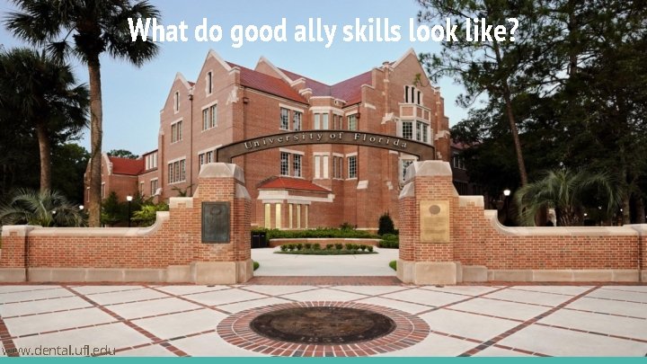 What do good ally skills look like? www. dental. ufl. edu 
