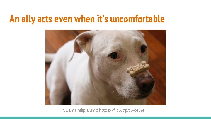 An ally acts even when it’s uncomfortable CC BY Philip Bump https: //flic. kr/p/9