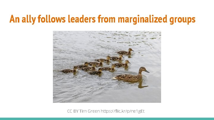 An ally follows leaders from marginalized groups CC BY Tim Green https: //flic. kr/p/ne