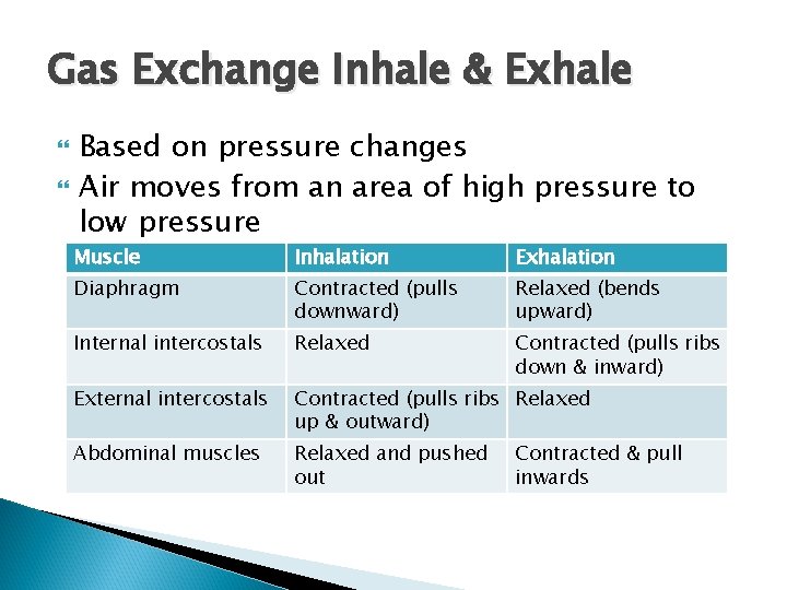 Gas Exchange Inhale & Exhale Based on pressure changes Air moves from an area