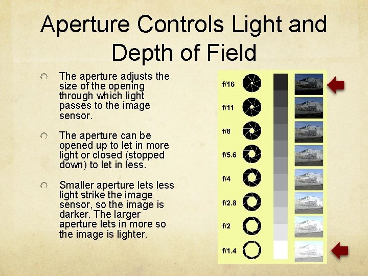 Aperture Controls Light and Depth of Field The aperture adjusts the size of the