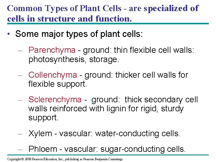 Common Types of Plant Cells - are specialized of cells in structure and function.