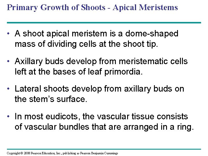 Primary Growth of Shoots - Apical Meristems • A shoot apical meristem is a