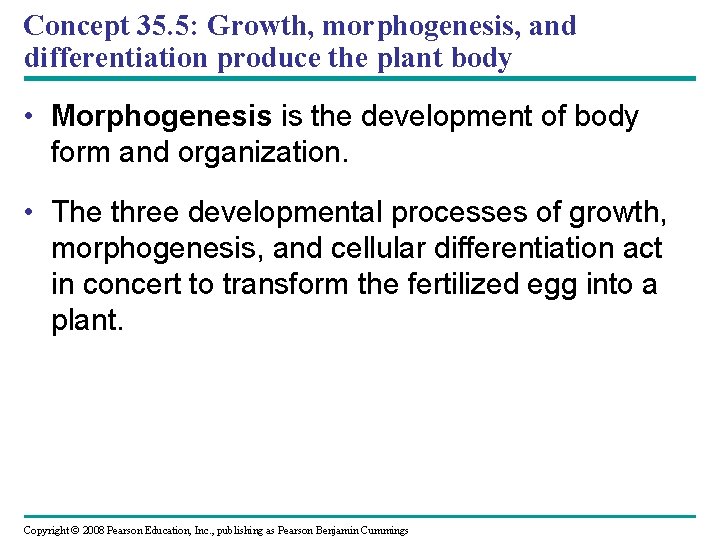 Concept 35. 5: Growth, morphogenesis, and differentiation produce the plant body • Morphogenesis is