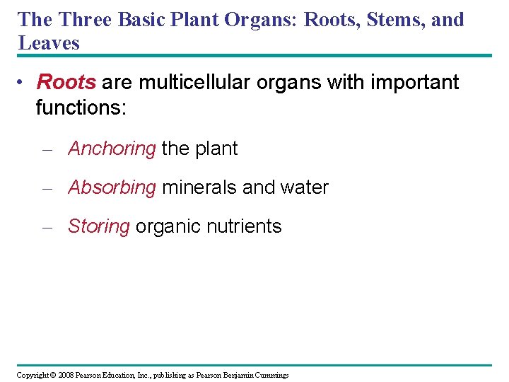 The Three Basic Plant Organs: Roots, Stems, and Leaves • Roots are multicellular organs