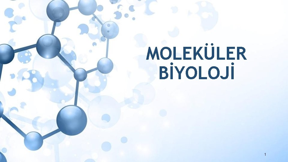 MOLEKÜLER BİYOLOJİ 1 