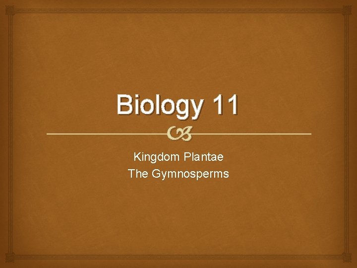 Biology 11 Kingdom Plantae The Gymnosperms 