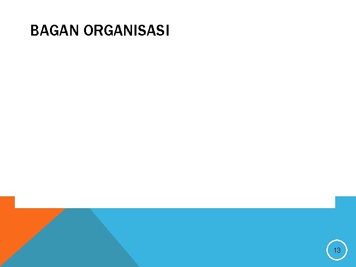 BAGAN ORGANISASI 13 