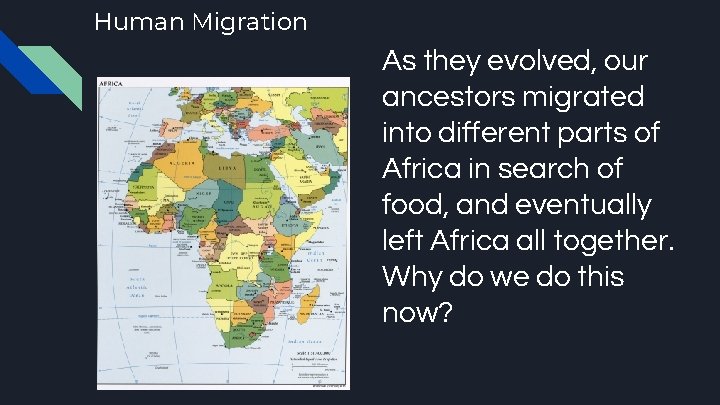Human Migration As they evolved, our ancestors migrated into different parts of Africa in